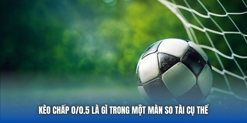 Kèo chấp 0/0.5 là gì trong một màn so tài cụ thể